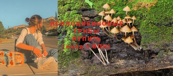 гашик Навашино