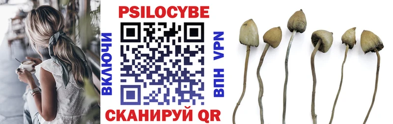Галлюциногенные грибы прущие грибы купить Славск